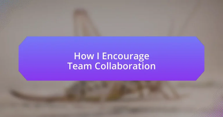 How I Encourage Team Collaboration