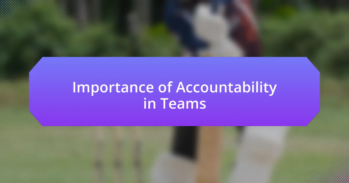 Importance of Accountability in Teams