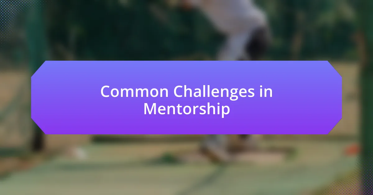 Common Challenges in Mentorship