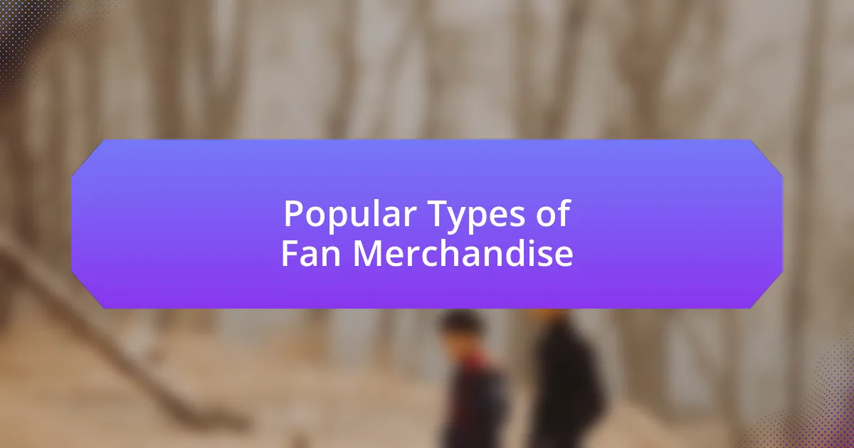 Popular Types of Fan Merchandise