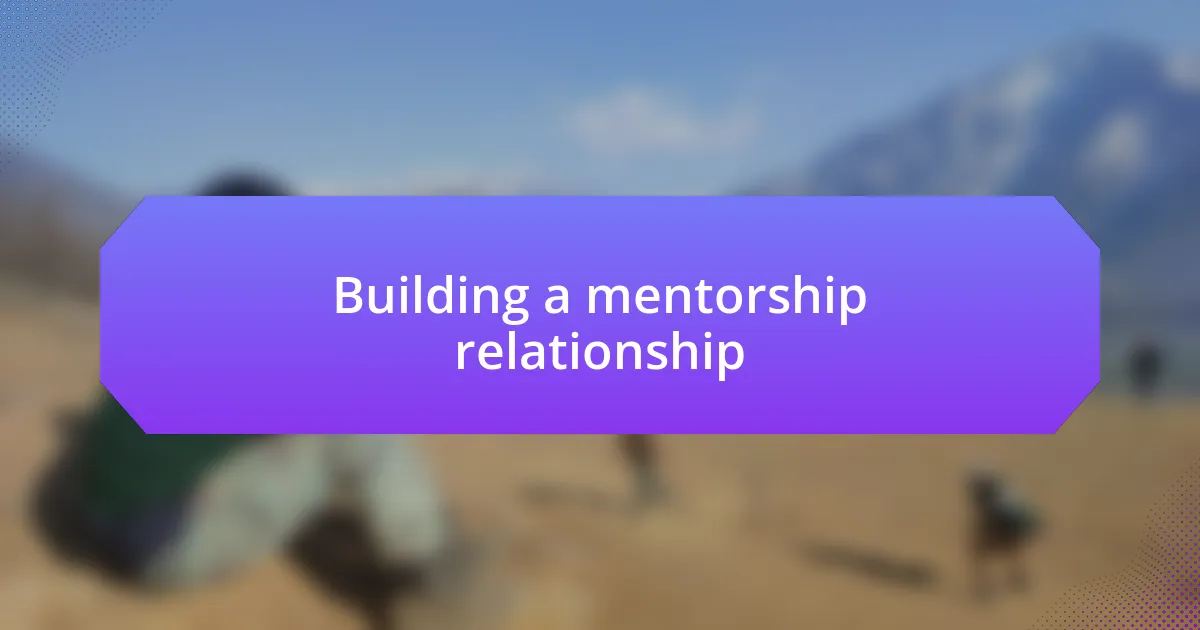 Building a mentorship relationship