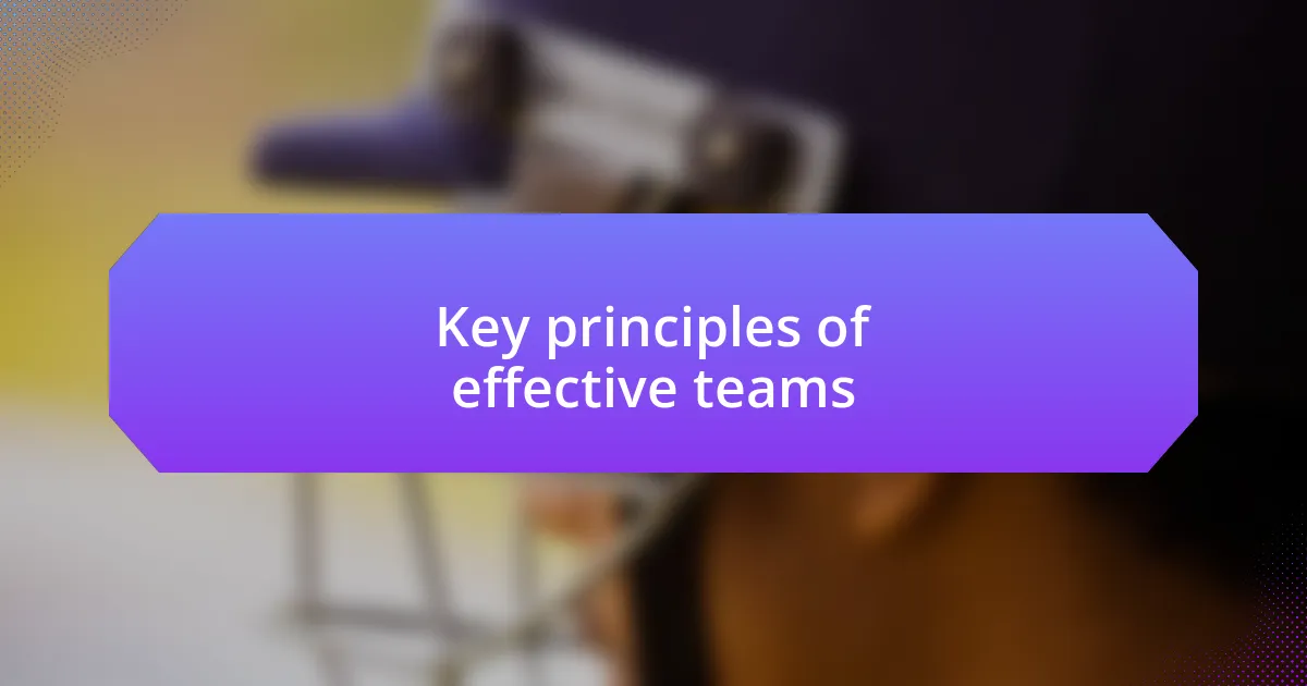 Key principles of effective teams