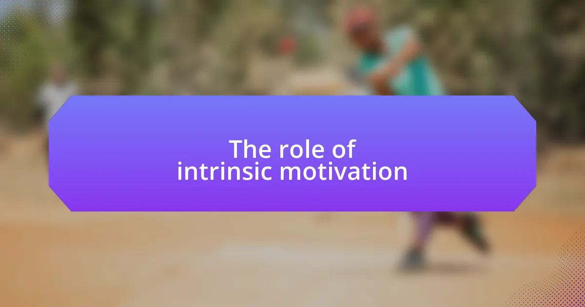 The role of intrinsic motivation