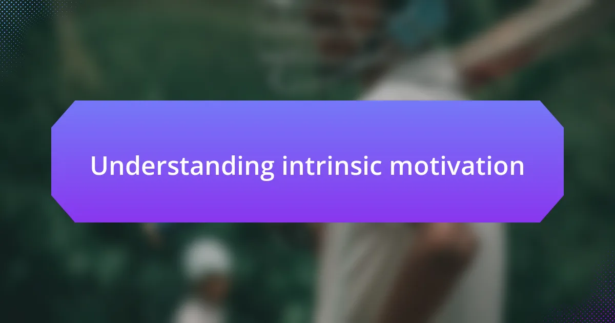 Understanding intrinsic motivation